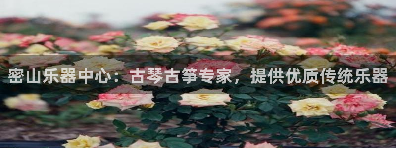 凯发k8娱乐官网入