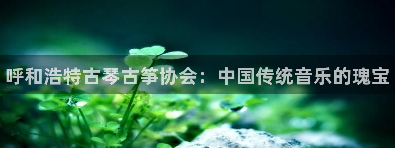 凯发平台网址