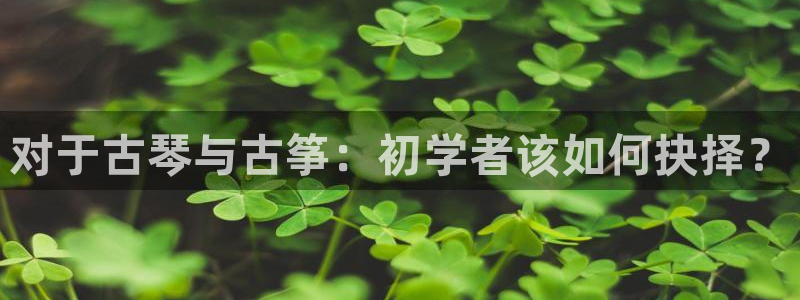 凯发k8app下载