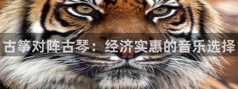 凯发k8娱乐平台