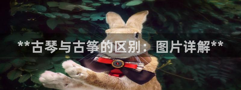凯发k8官方网娱乐官方真