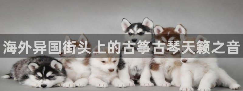 凯发国际网址官网查询