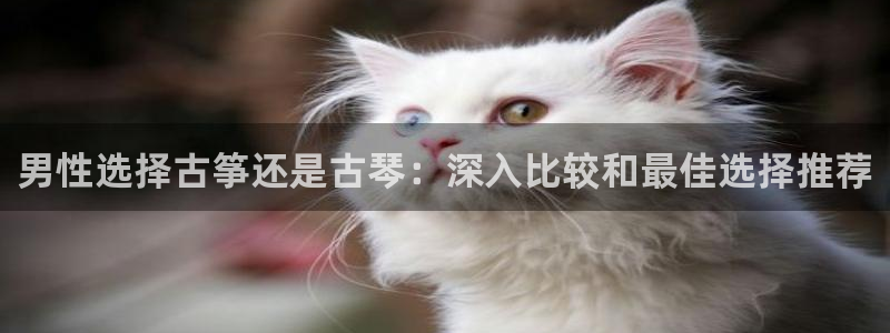 凯发官网入口首页