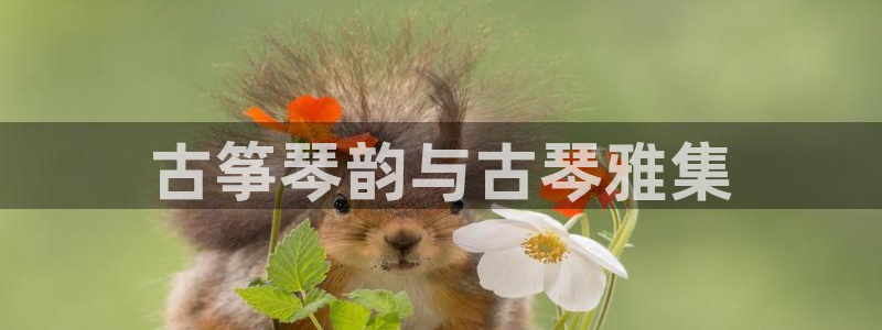 凯发k8手机是正品吗
