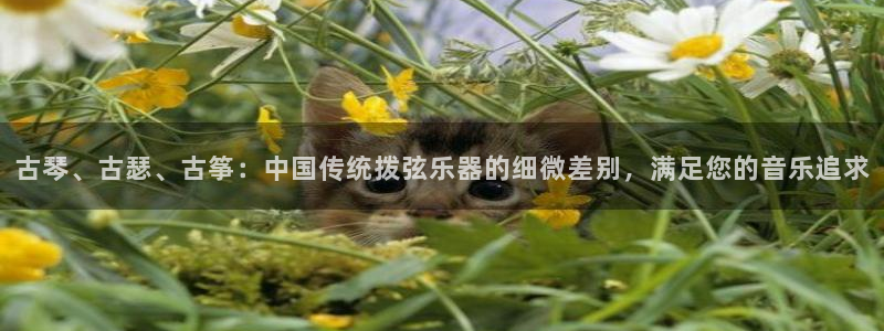 凯发k8娱乐现在还有吗