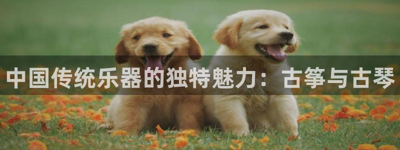 ks8凯发官方网站