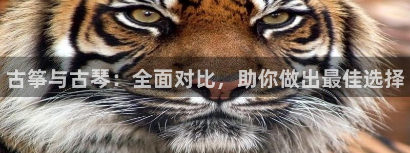 凯发国际平台官网