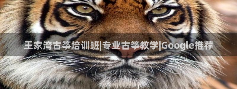 凯发官网下载客户端
