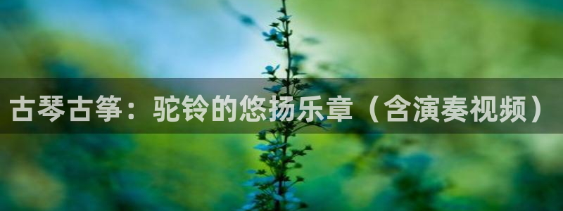 凯发k8555|手机版
