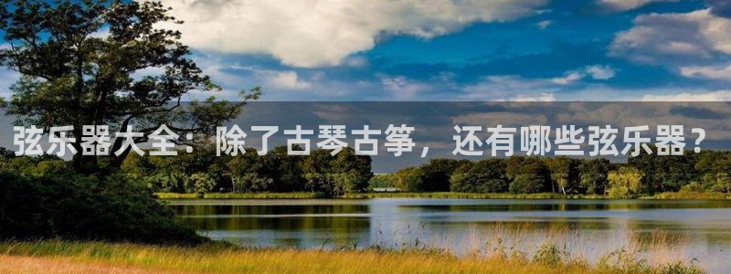 凯发网网站