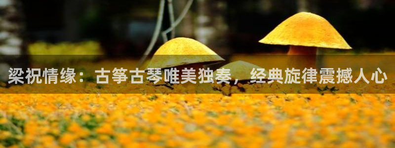 凯发k8娱乐旗舰app下载