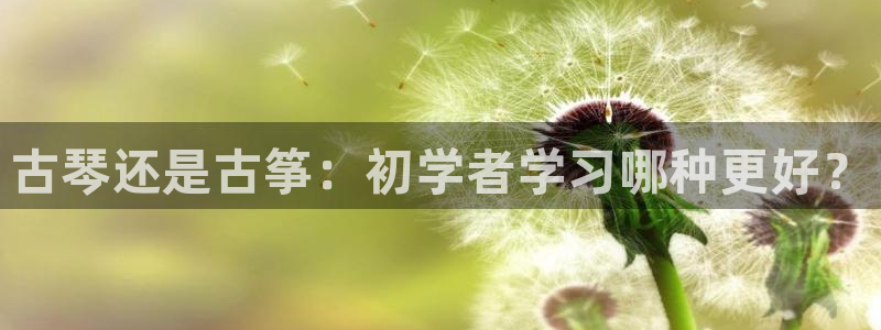 凯发官网平台