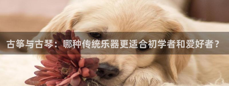 k8凯发国际首页