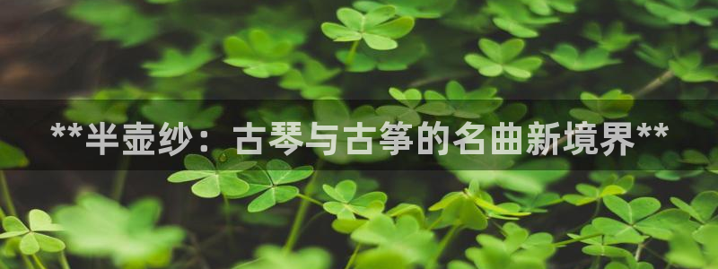 凯发K8旗舰厅：**半壶纱：古琴与古筝的名曲新境界**