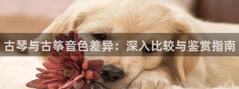 凯发k8官网do选来就送38