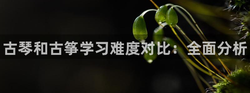 凯发k8手机是正品吗知乎：古琴和古筝学习难度对比：全面分析