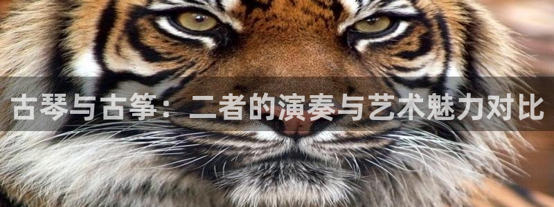 凯发正规网站