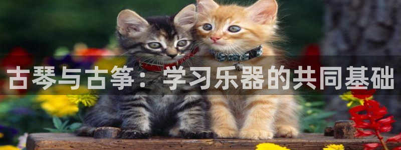 凯发在线平台官方网站