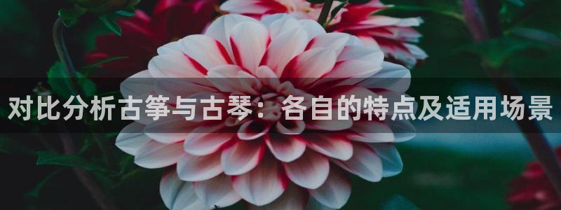 凯发旗舰厅网站：对比分析古筝与古琴：各自的特点及适用场景