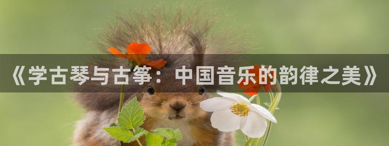 凯发k873