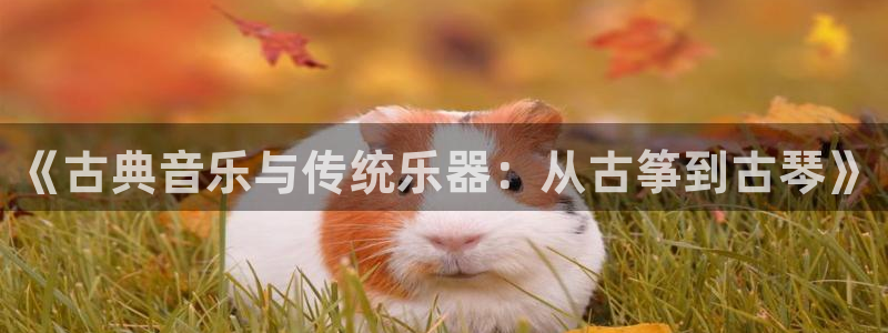 凯发平台首7O777