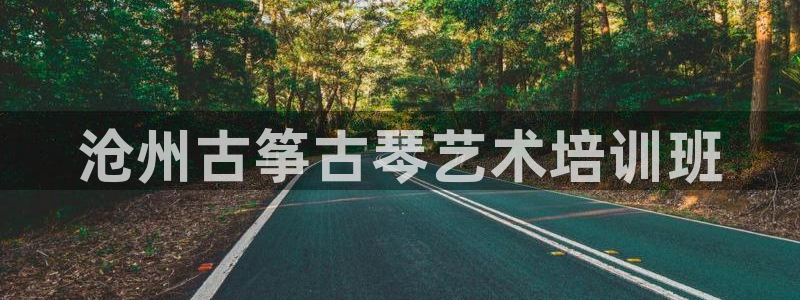 凯发k8娱乐平台能提现吗：沧州古筝古琴艺术培训班