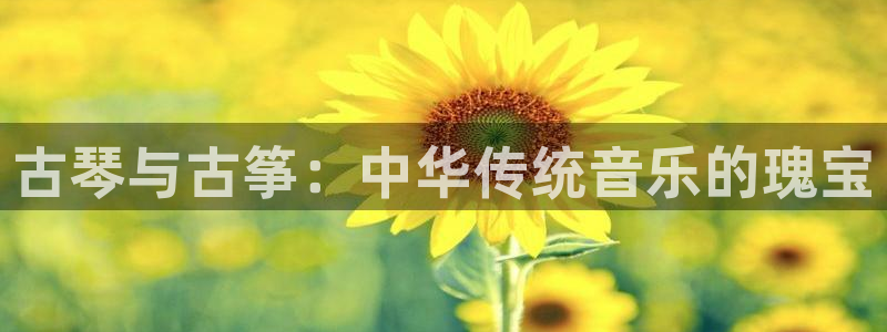 凯发a600丶cc官网首页：古琴与古筝：中华传统音乐的瑰宝