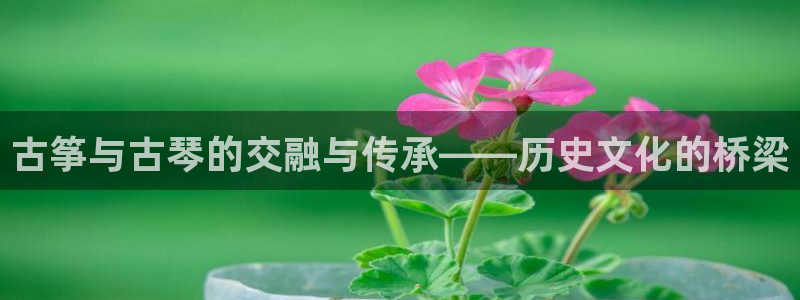 凯发k8娱乐官网手机端中心：古筝与古琴的交融与传承——历史文