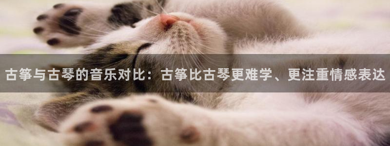 凯发k8旗舰厅app下载i来就送38元：古筝与古琴的音乐对比