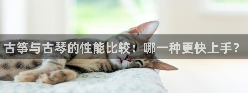 凯发k8国际真人娱乐手机app：古筝与古琴的性能比较：哪一种