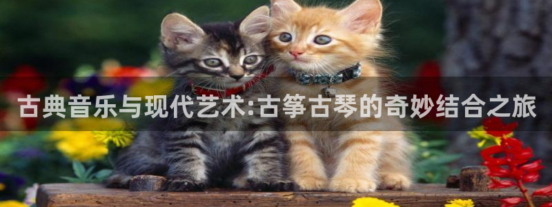 凯发k8国际首页登录：古典音乐与现代艺术:古筝古琴的奇妙结合