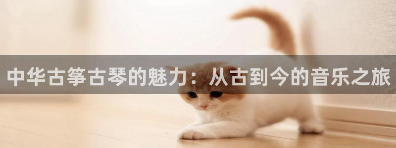 凯发国际网络平台网址