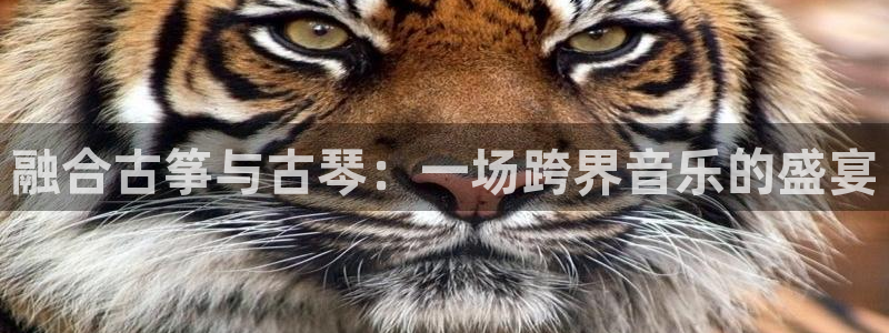 凯发k8娱乐要访问kf6819