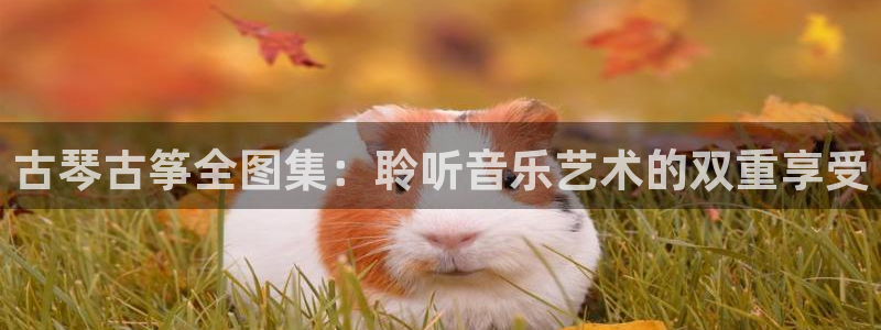 凯发国际网络平台网址